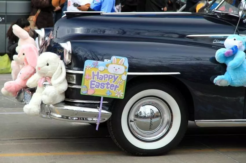 Easter bunny on car