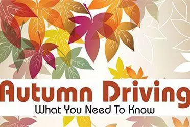 Autumn driving infographic