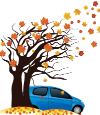 Driving in Autumn